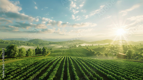 Beautiful Fields of Sustainable Crops