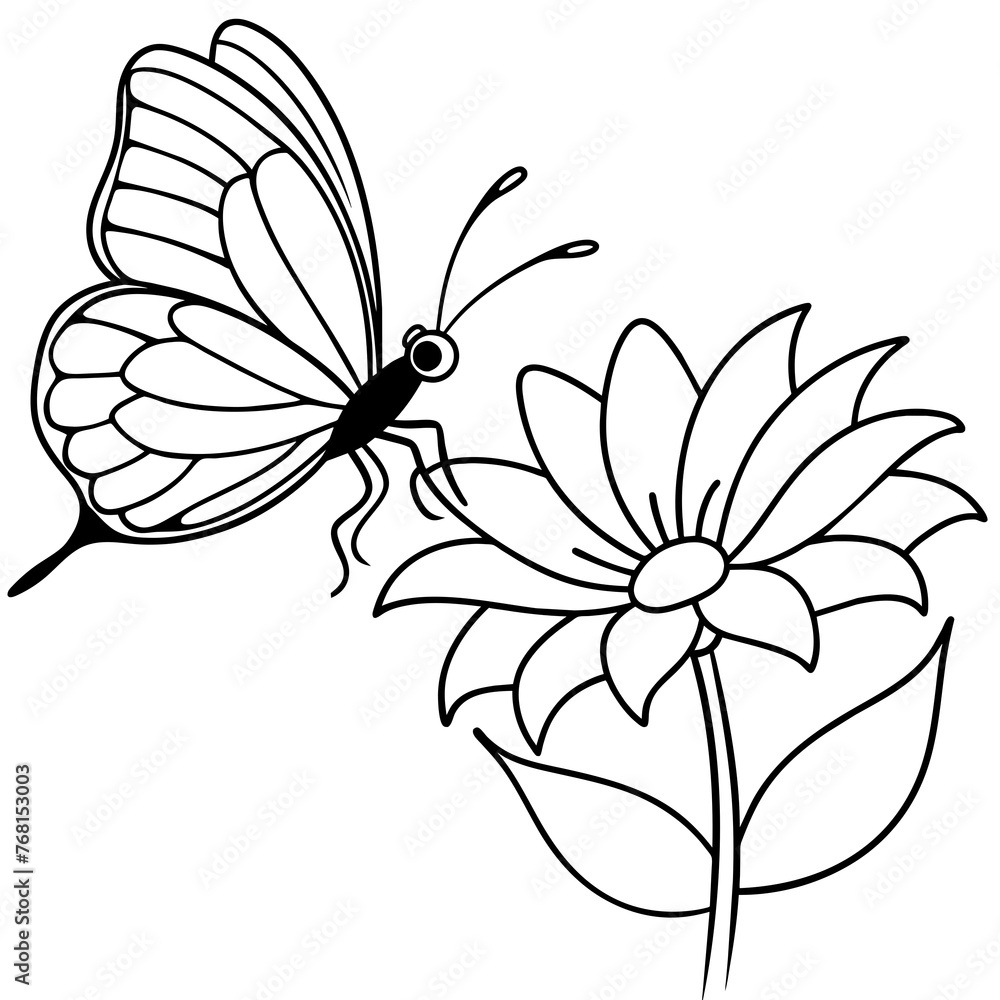 sketch of a flower and butterfly