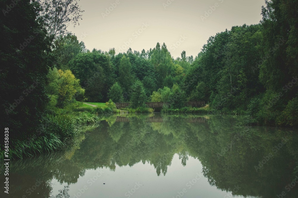 reflection of trees in the lake