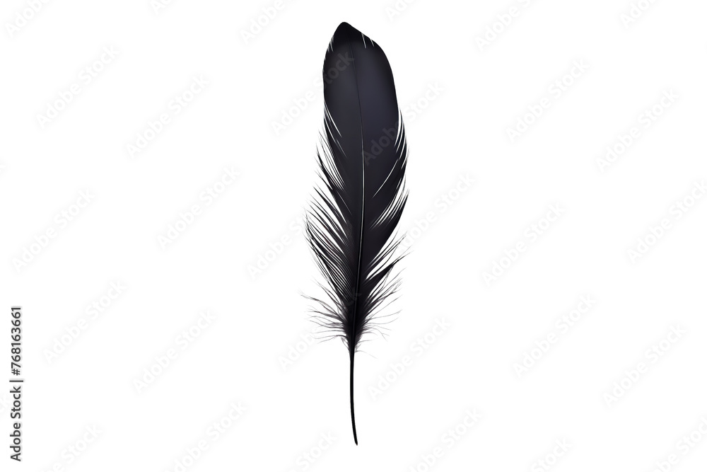feather isolated on white feather isolated on white