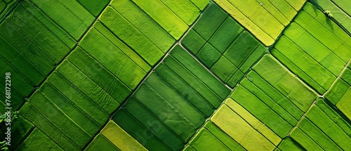 Aerial flying over fields with straw bales at harvesting time. Soybean, sunflowers and maize or corn. Greenery nature landscape. Agricultural environment background.  Generative AI photo