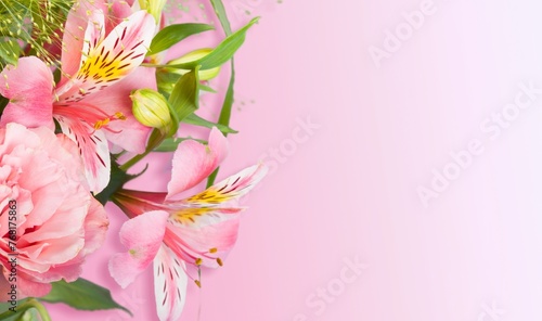 Fototapeta Naklejka Na Ścianę i Meble -  Tender pink fresh flowers on background