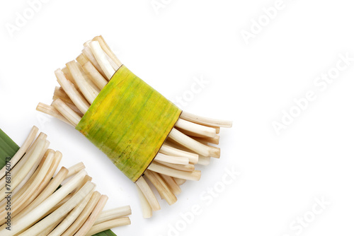 Fresh lotus rootlet on white background.