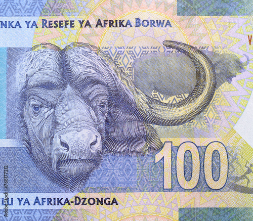 Cape buffalo portrait on Banknote of the South African