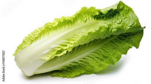 Baby Cos lettuce isolated on white background, Green Napa cabbage leaves