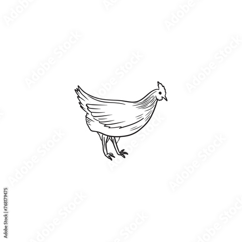 Beautiful realistic chicken, quail, duck as a concept of domestic farm animal. Hen for eggs laying, broiler white meat in black isolated on white. Hand drawn vector sketch illustration in doodle style
