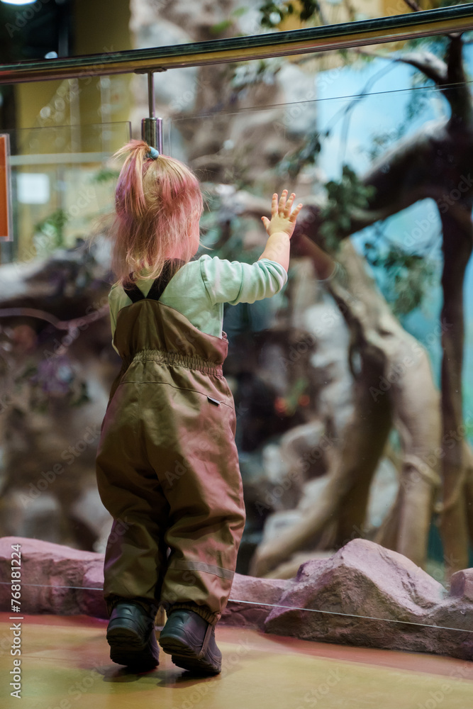 A child little girl walks around the zoo between glass enclosures A child little girl walks around the zoo between glass enclosures