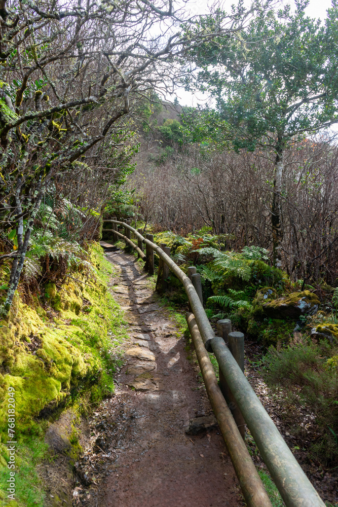 Wooden footbridge winding through sulfur fumaroles in Terceira Island's furnas, Azores.
