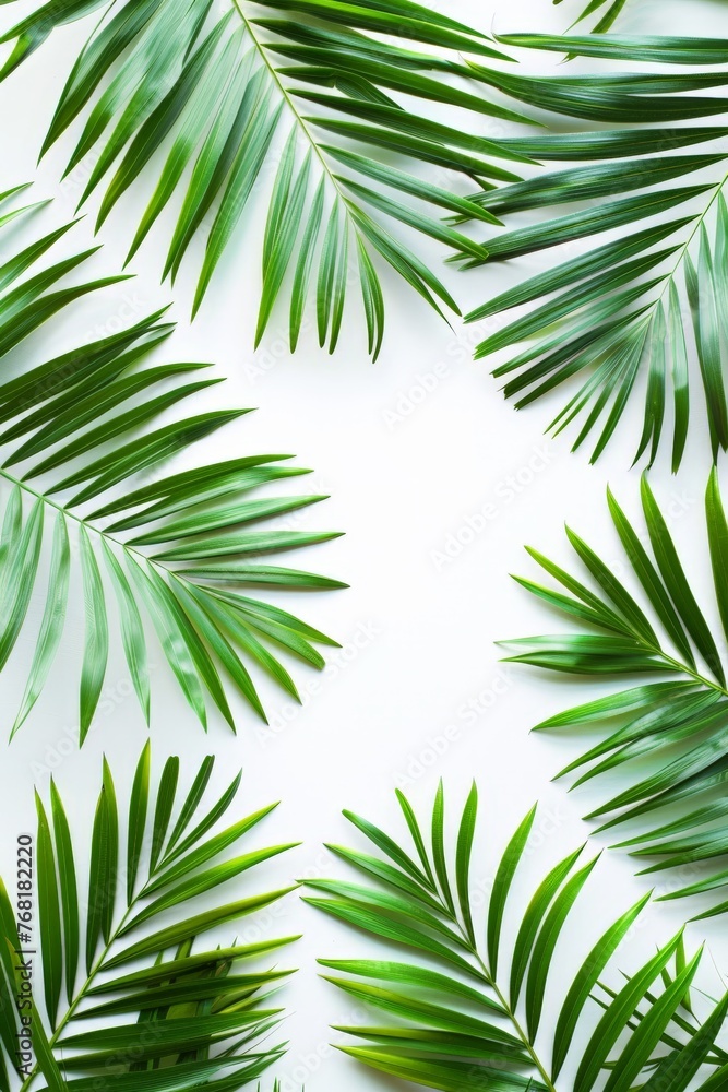 Green Palm Leaves on White Background Green Palm Leaves on White Background