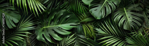 Close-Up of Lush Green Tropical Leaves