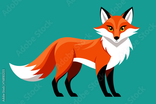 Vector design of a Fox