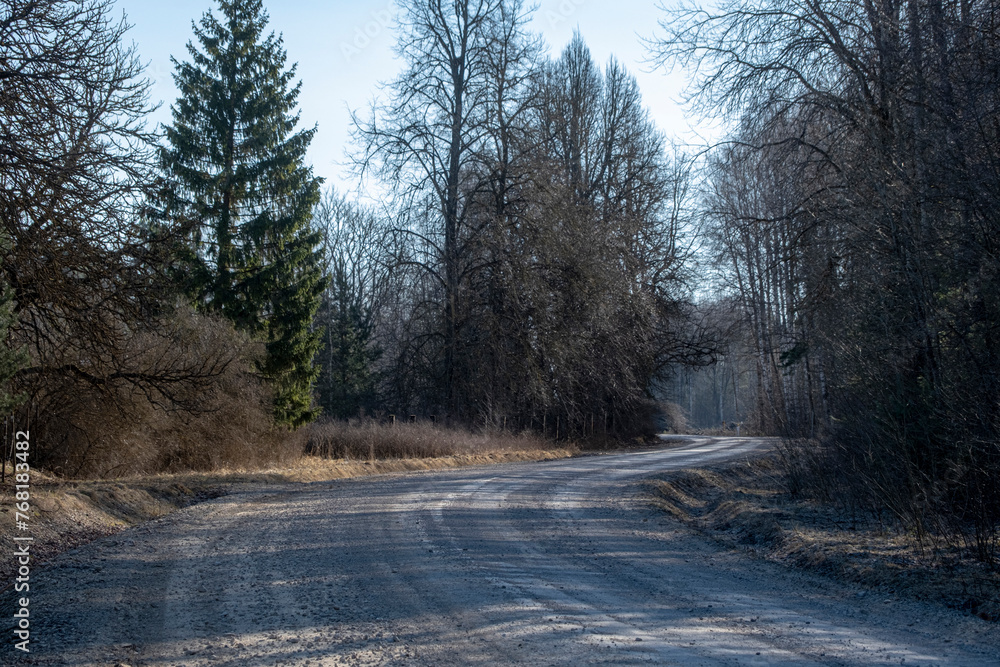 sunlit winding country road in early spring sunlit winding country road in early spring