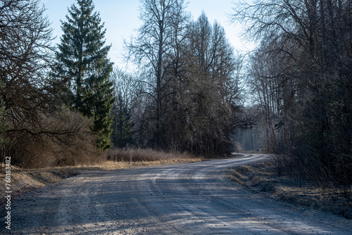 sunlit winding country road in early spring © Neils