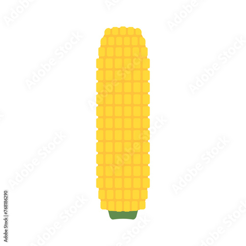 Corn isolated vector .halves and grains in different angles on a white. Corn vector.