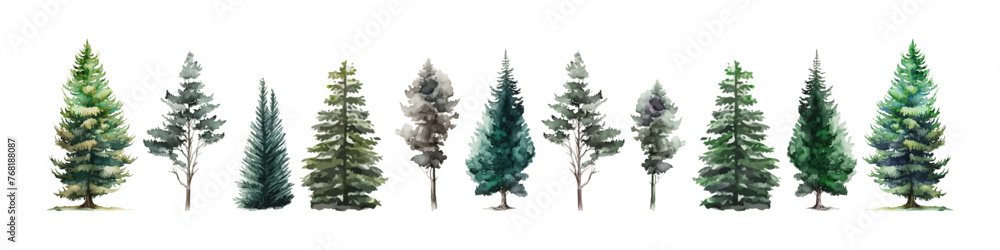 Watercolor tree vector collection. Forest illustration element. Woodland pine trees.