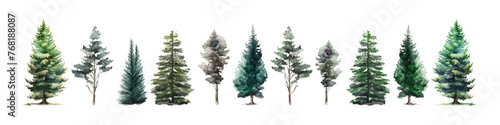 Watercolor tree vector collection. Forest illustration element. Woodland pine trees.