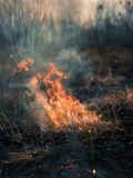 fire in a field or steppe. burning dry withered grass. uncontrolled burning, clouds of smoke and an open flame.