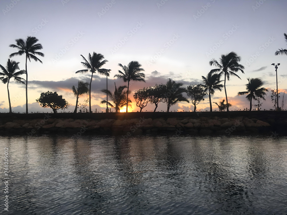 Hawaiian palm trees silhouette at sunrise