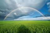 A vibrant rainbow arches across the sky above a lush green field, A green field under a cloudy sky, coupled with a simplistic rainbow, AI Generated
