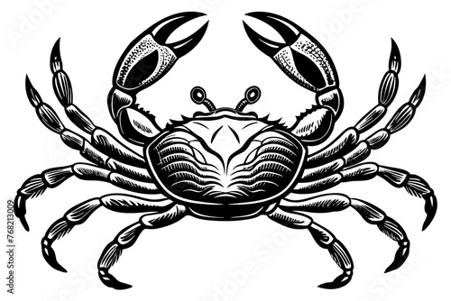 a realistic The crab silhouette vector art Illustration