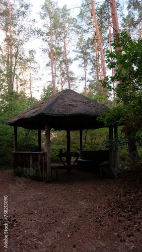 FU 2022-08-27 SchnuckeHin 885 Im Wald ist eine Schutzhütte mit rundem Dach