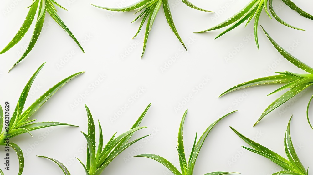 Fototapeta premium green grass background. aloe vera wallpaper. Generative AI
