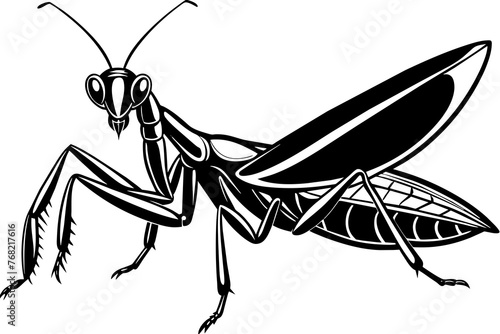 a realistic Praying Mantis silhouette vector art Illustration