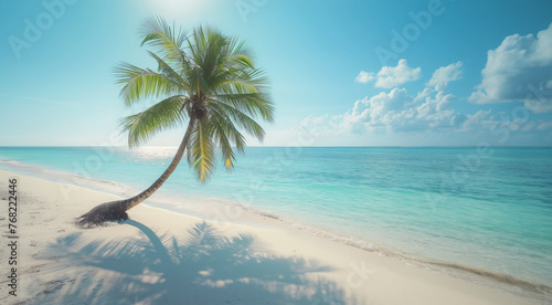 Beach with palm tree.
