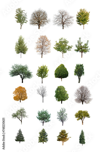 Single large trees standing shapes cut-out backgrounds 3d render png
