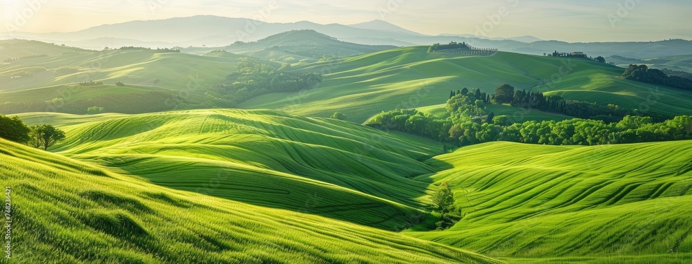 Obraz premium vineyards and lush green fields in the countryside during the vibrant summer season, offering a panoramic view that evokes a sense of tranquility and natural beauty.