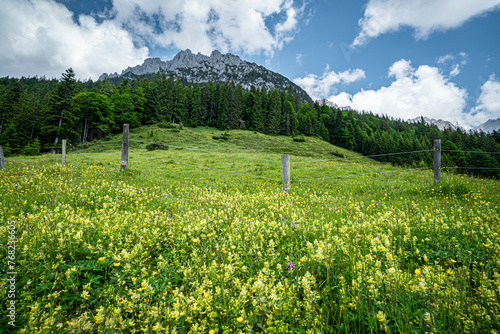 Fototapeta Naklejka Na Ścianę i Meble -  Herrliche Natur in den Alpen - Alm mit vielen blühenden Wiesenblumen