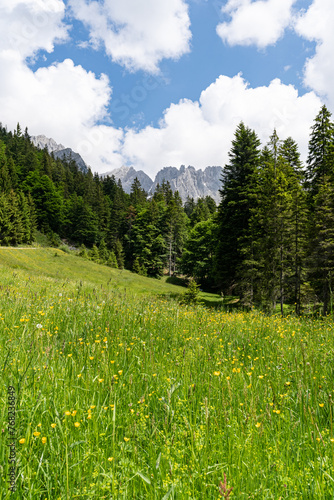 Herrliche Natur in den Alpen - Alm mit vielen blühenden Wiesenblumen, Aufnahme im Hochformat. © Countrypixel