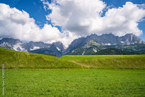 Sommerliche Alpenlandschaften - gr  ne Wiese mit dem Wilden Kaiser Gebirge im Hintergrund.