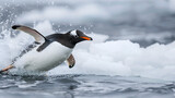 Penguin sliding gracefully across the ice