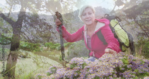 Smiling caucasian senior woman hiking, kneeling and touching plants, over trees and sunlight