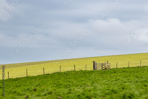 Fields in the Sussex countryside, on an early spring day