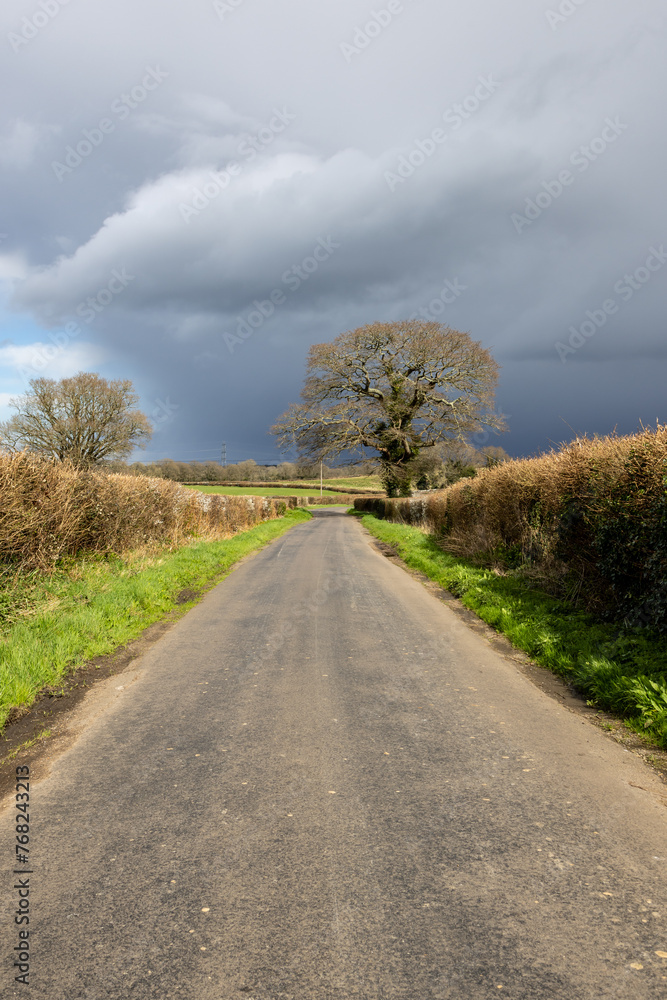 Looking along a country road in rural Sussex,  with an imposing sky overhead