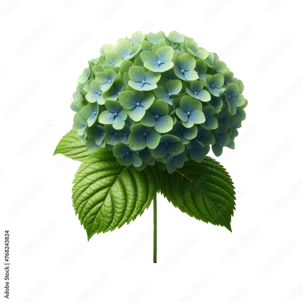 Fototapeta premium Isolated Green Leaf on a Clear PNG Canvas, Generative AI