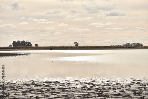 laguna