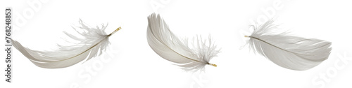 white goose feathers on white isolated background photo