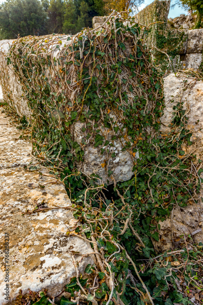 Obraz premium Termessos ancient city the amphitheatre. Termessos is one of Antalya -Turkey's most outstanding archaeological sites. Despite the long siege, Alexander the Great could not capture the ancient city.