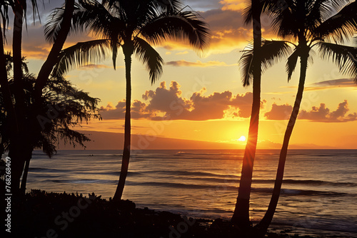 Beautiful sea sunset with silhouettes of palm trees and beautiful clouds