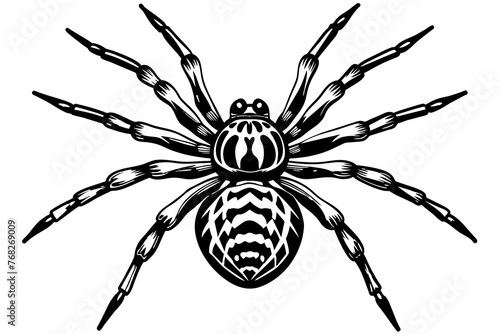 A realistic Spider silhouette vector art illustration