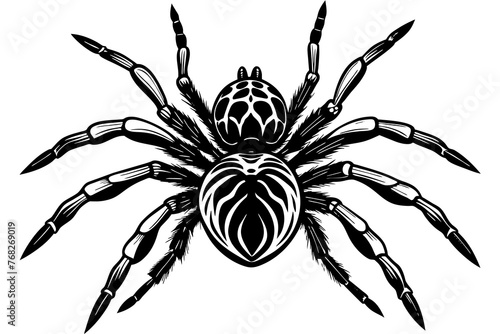 A realistic Spider  silhouette  vector art illustration