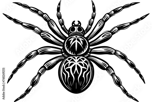 A realistic Spider  silhouette  vector art illustration