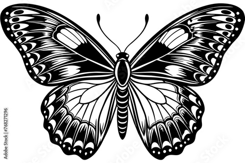 A realistic Butterfly silhouette vector art illustration