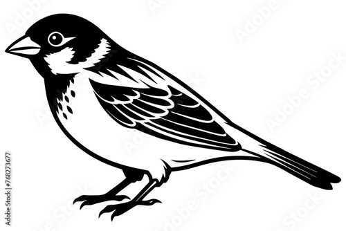 sparrow silhouette vector illustration © CreativeDesigns