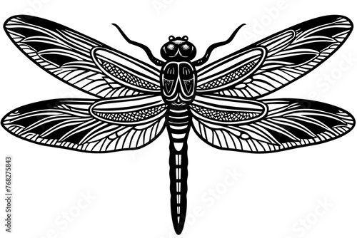 A realistic Dragonfly silhouette vector art illustration