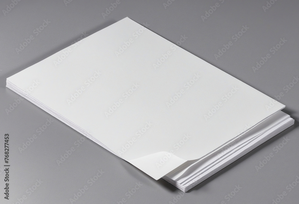 White paper isolated on a gray, changeable background that is blank in portrait A4 size. White paper isolated on a gray, changeable background that is blank in portrait A4 size.