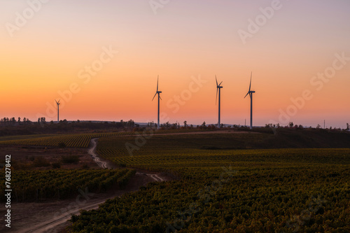 Beautiful sunset landscape shot with four wind turbines on a vine field in summer.